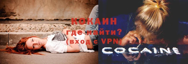 apvp Белокуриха