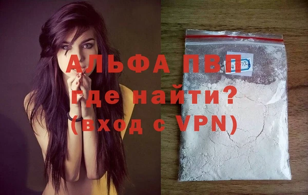 apvp Белокуриха