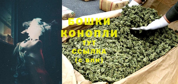 apvp Белокуриха