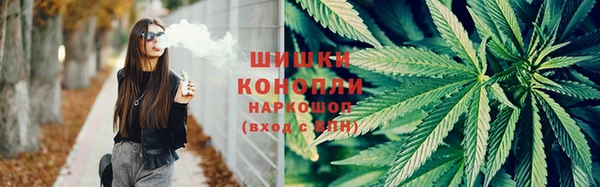 apvp Белокуриха